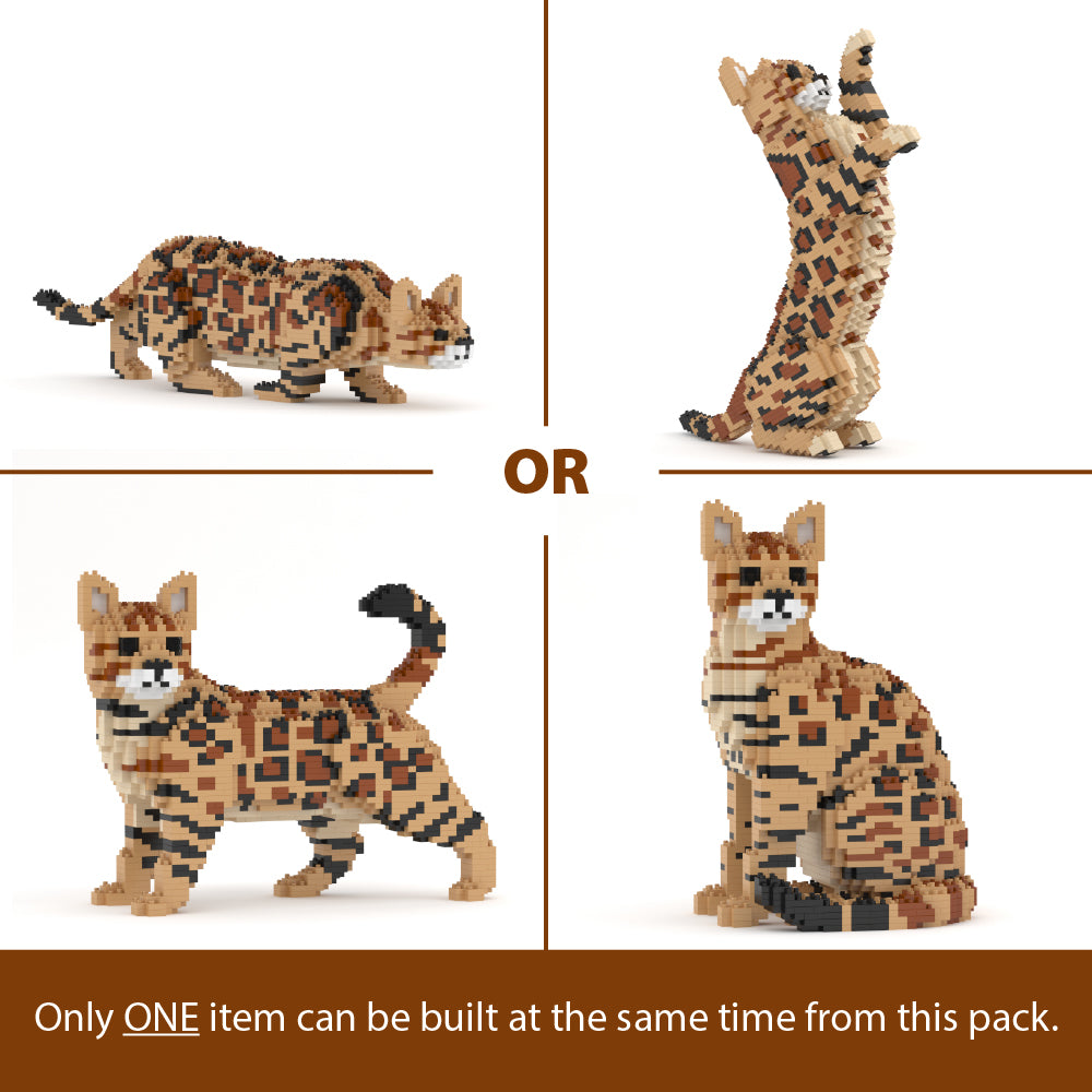 Bengal Cat 4-in-1 Pack 01S-M01