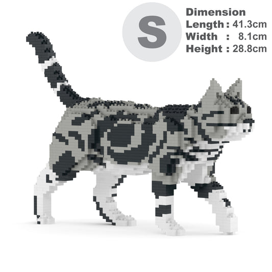 American Shorthair Cat 02S-M01