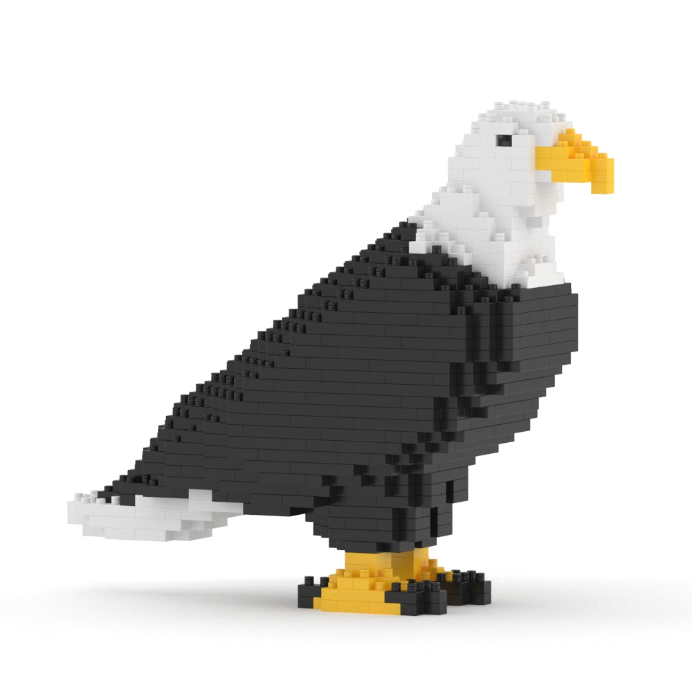 Bald Eagle 01