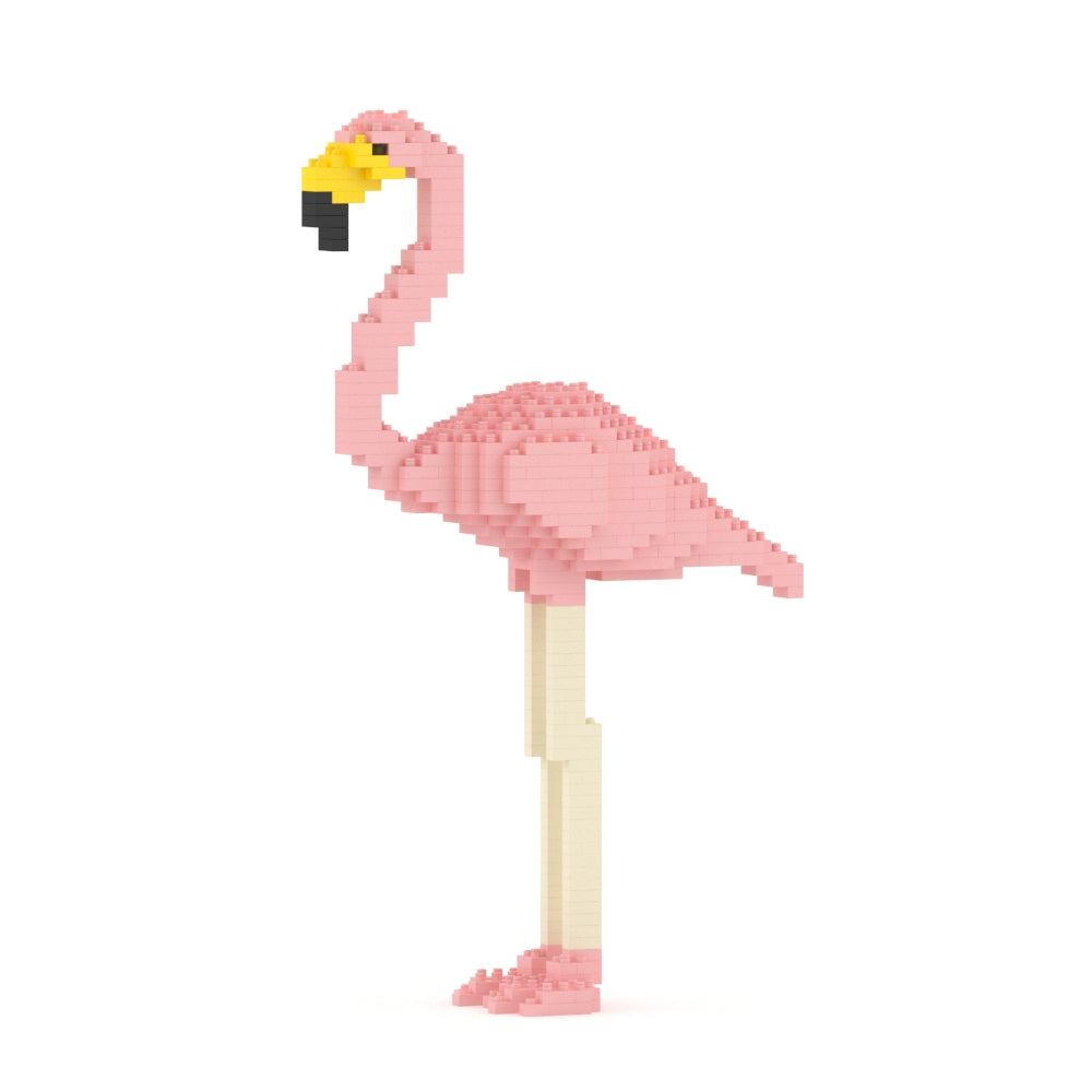 Flamingo 01-M02