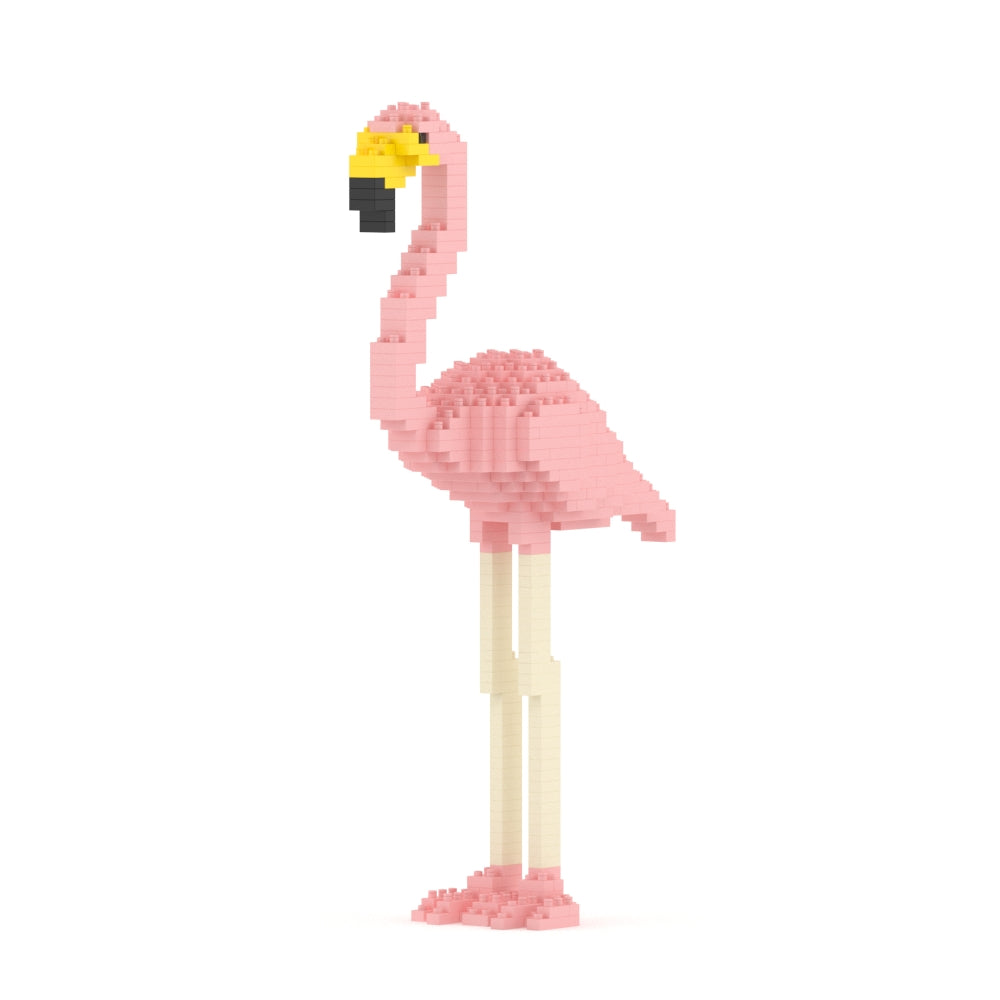 Flamingo 01-M02