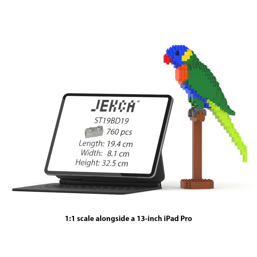 Rainbow Lorikeet 01