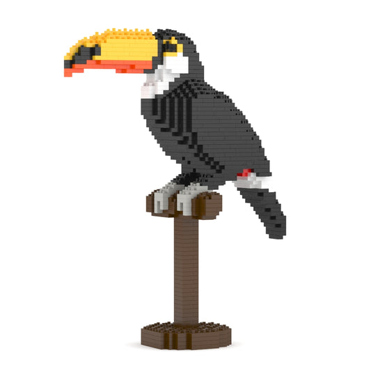 Toco Toucan 01