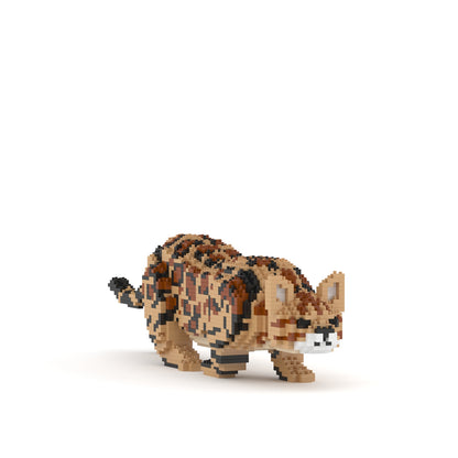 Bengal Cat 4-in-1 Pack 01S-M01