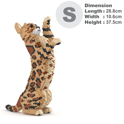 Bengal Cat 4-in-1 Pack 01S-M01