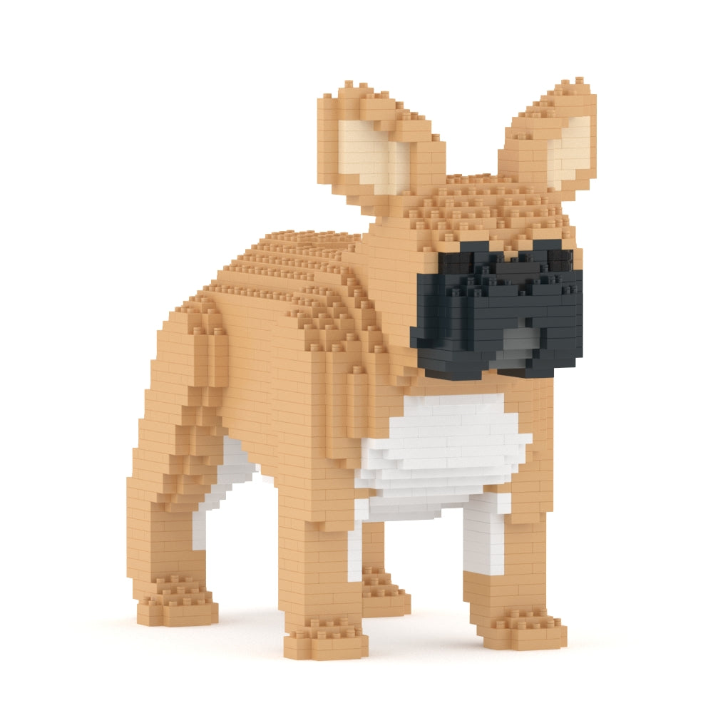 French Bulldog 02-M01