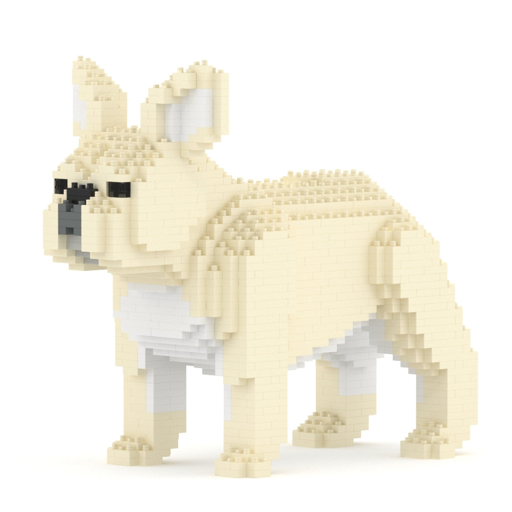 French Bulldog 02-M02