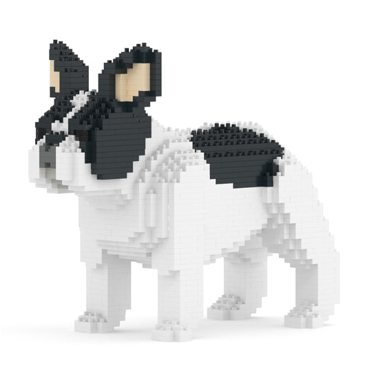 French Bulldog 02-M04