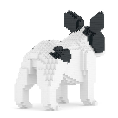 French Bulldog 02-M04