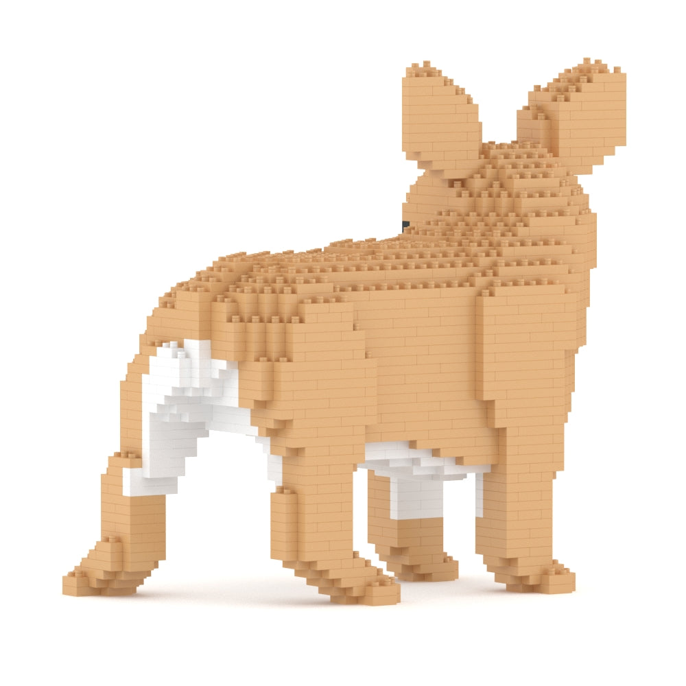 French Bulldog 03-M01