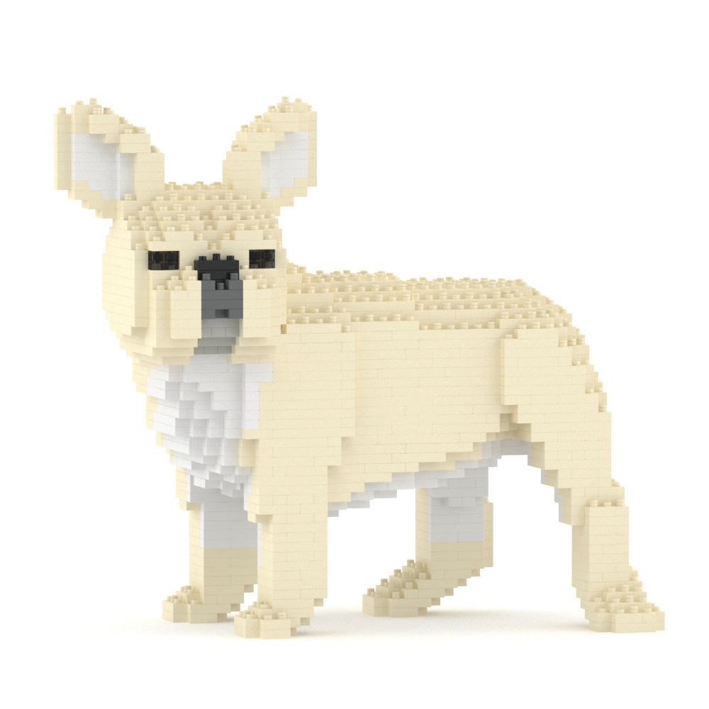 French Bulldog 03-M02