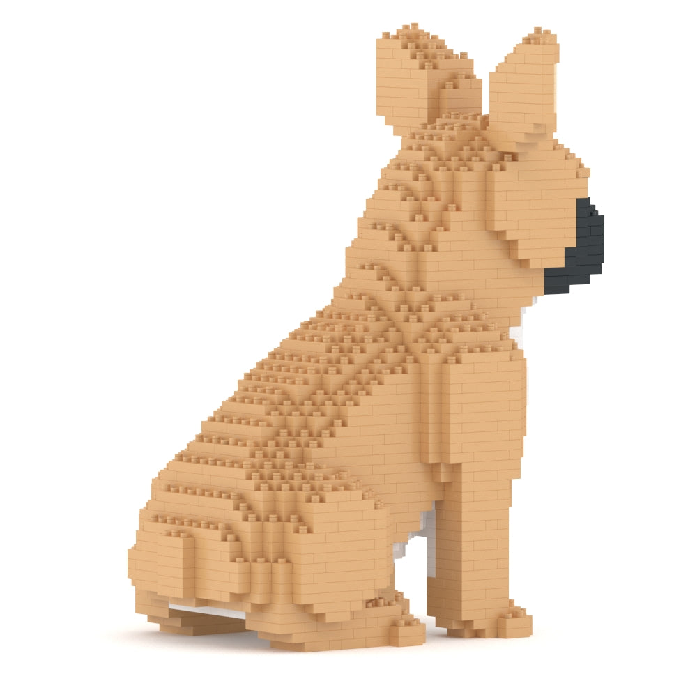 French Bulldog 04-M01