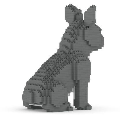 French Bulldog 04-M05