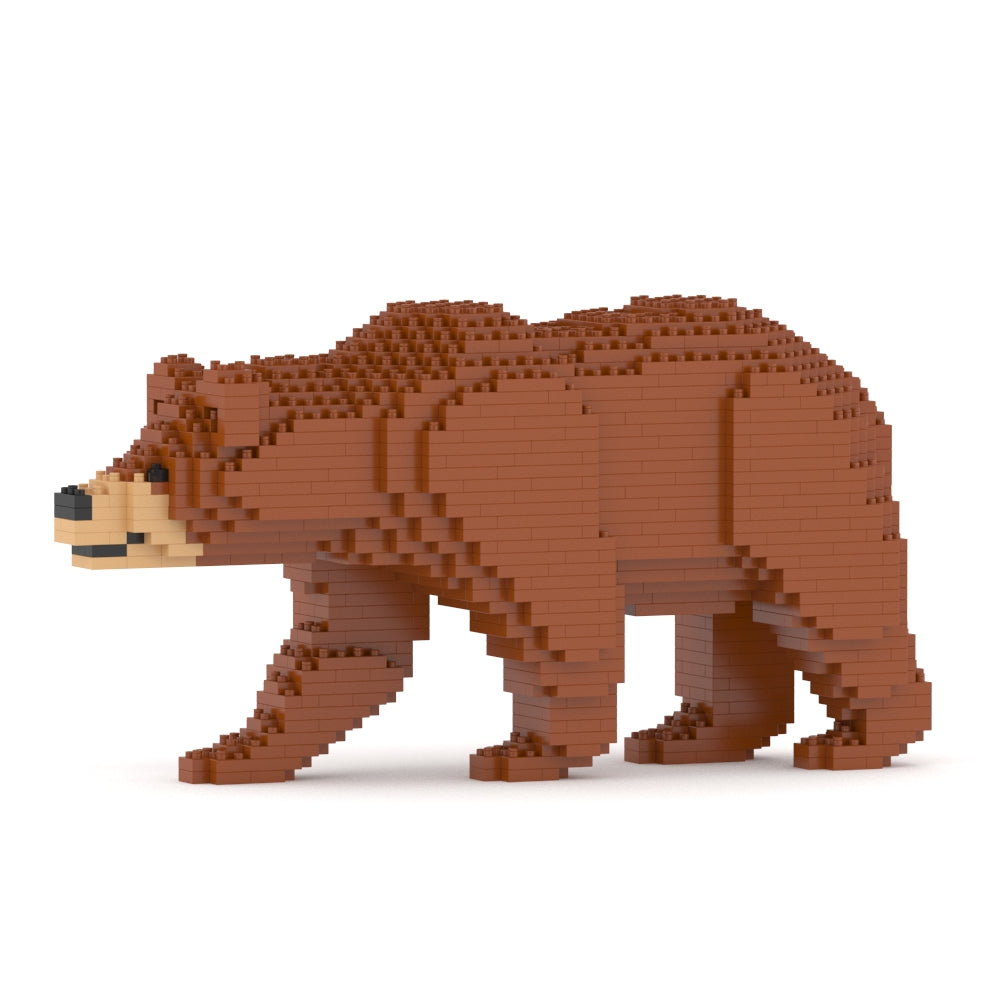 Brown Bear 01