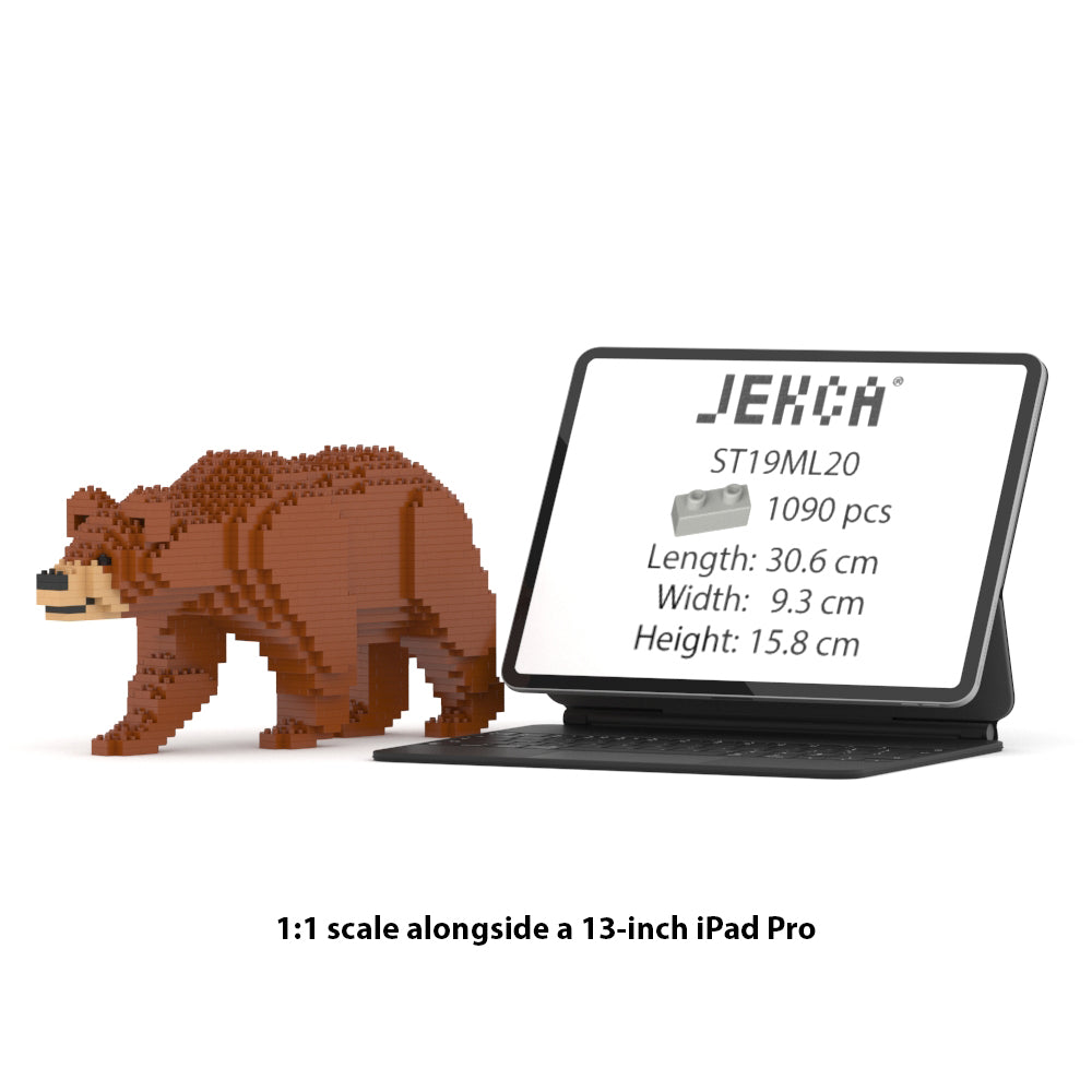 Brown Bear 01