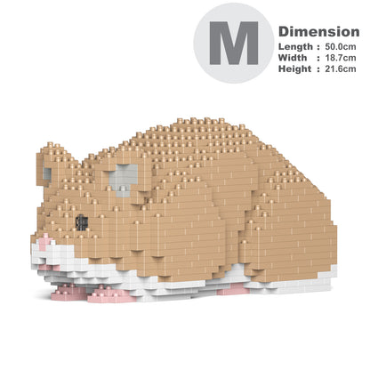 Hamster 02-M01