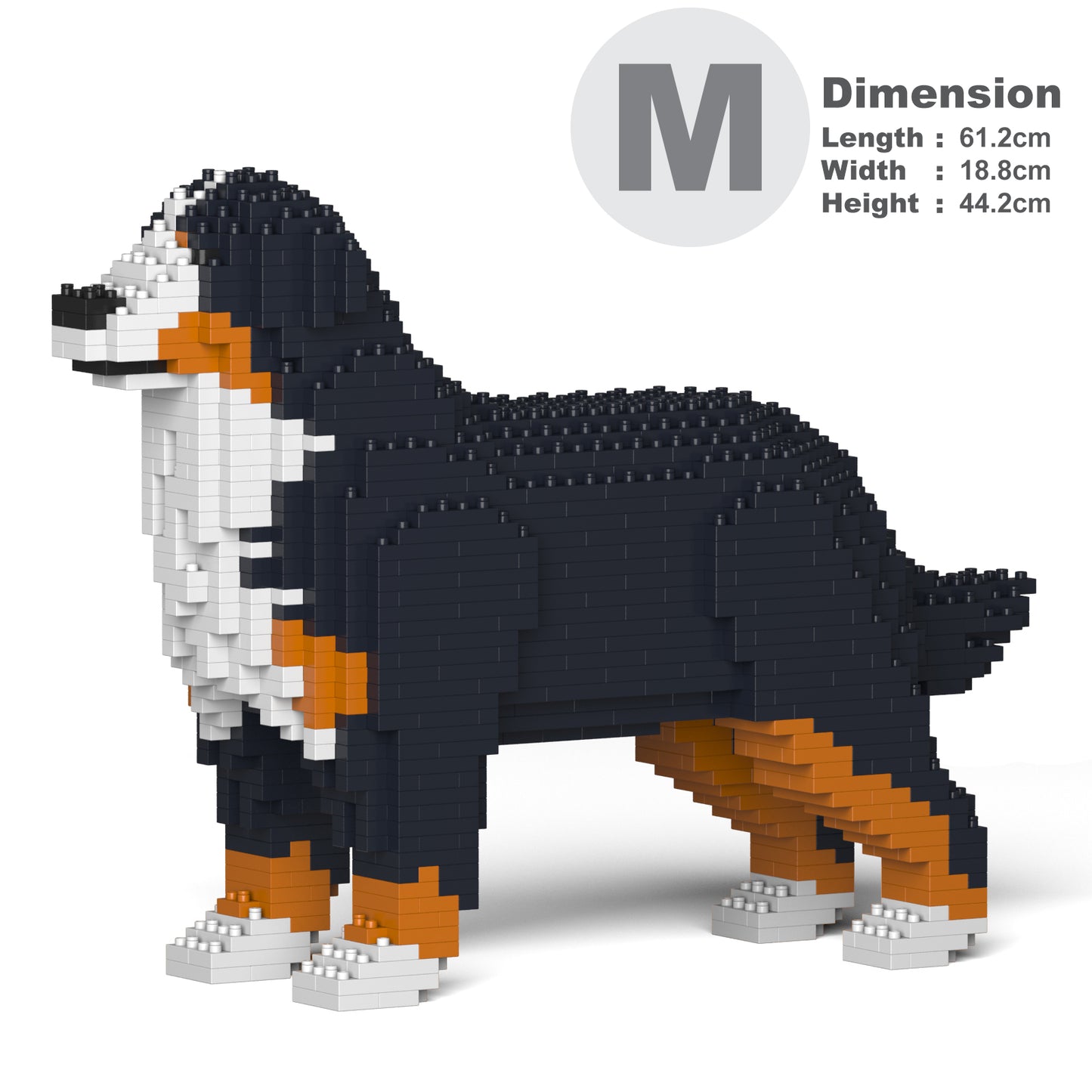 Bernese Mountain Dog 01