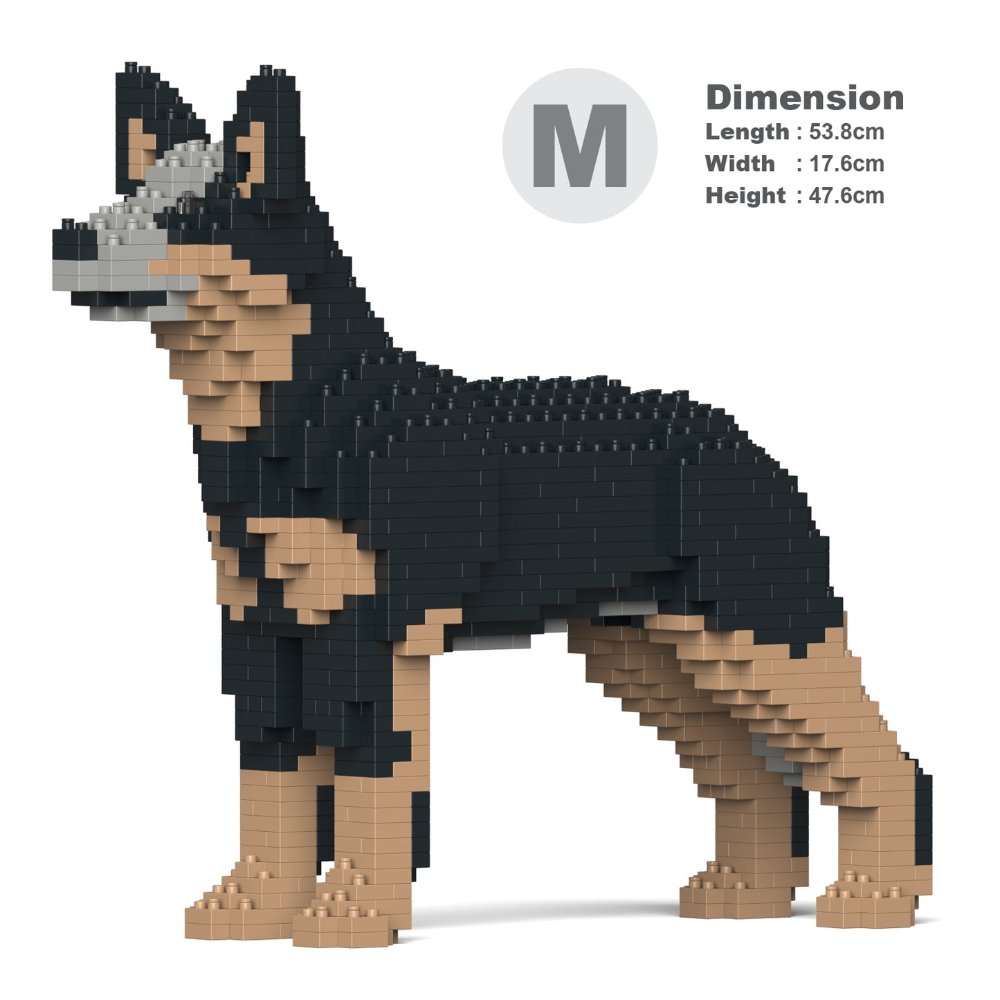 Australian Cattle Dog 01-M01