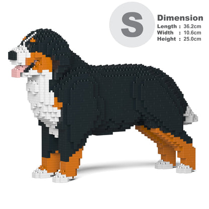 Bernese Mountain Dog 02