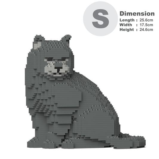 British Shorthair Cat 01S-M01