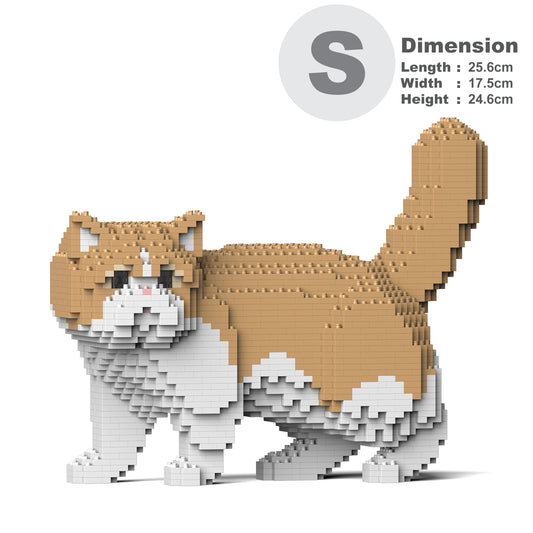 Exotic Shorthair Cat 01S-M01