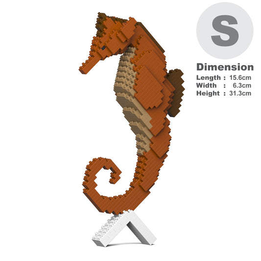 Seahorse 01