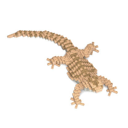 Bearded Dragon 01