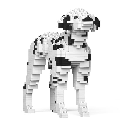 Dalmatian 01-M02