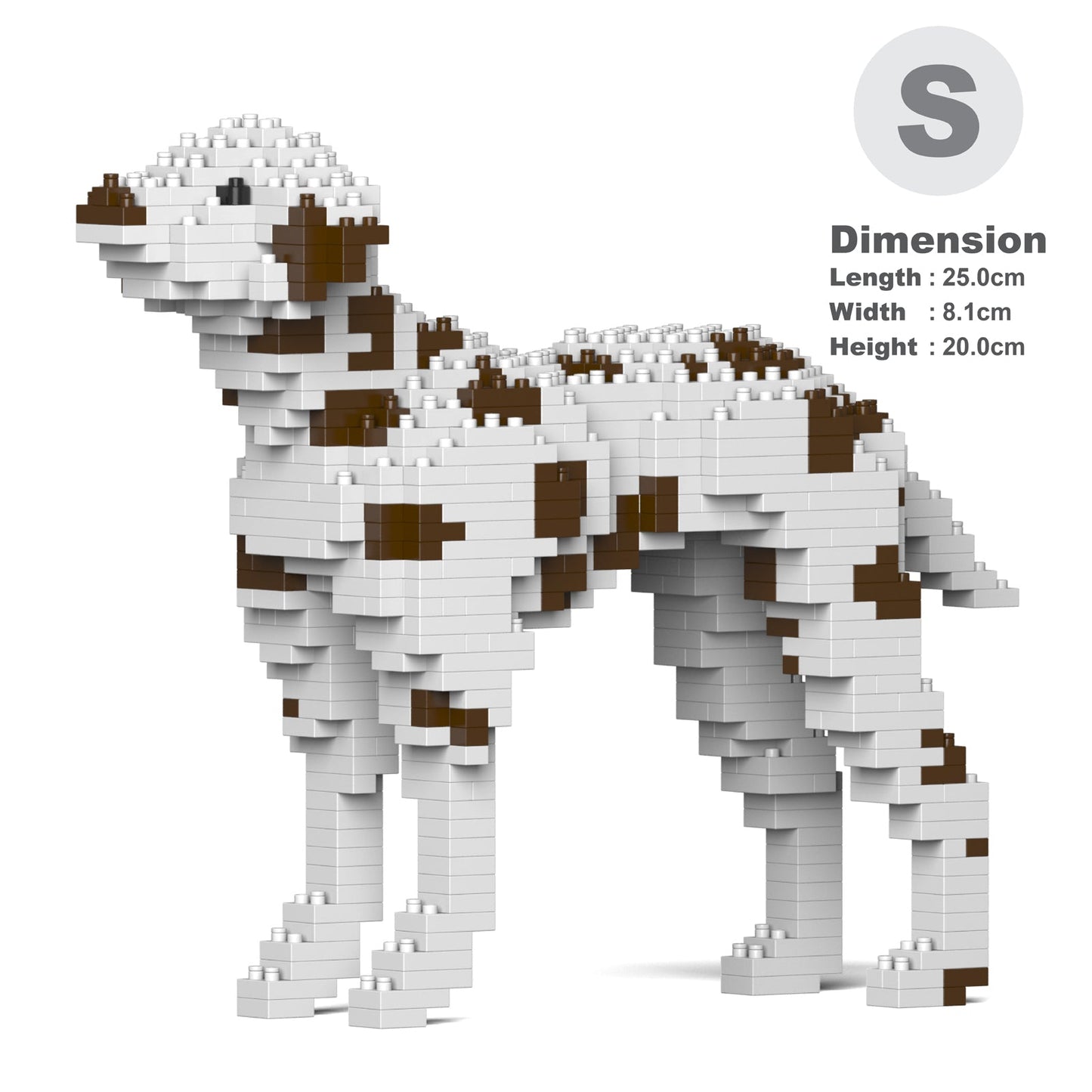 Dalmatian 01-M02