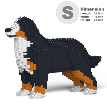 Bernese Mountain Dog 01