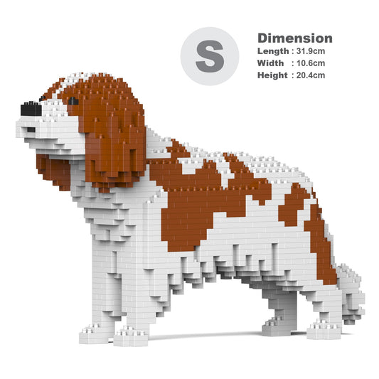 Cavalier King Charles Spaniel 01-M01