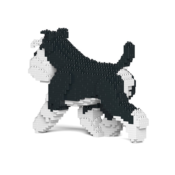 Standard Schnauzer 03-M02